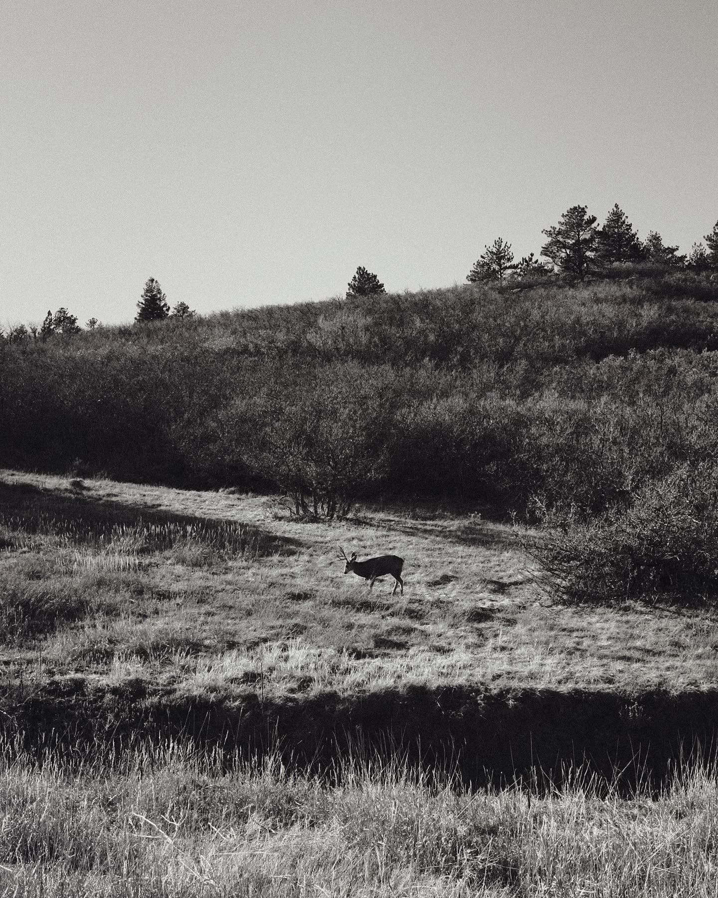 Travel photo